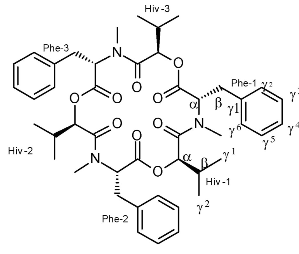 Beauvericin (Isolated from an endophytic fungus) strong antimicrobial activity against human pathogenic bacteria Staphylococcus aureus.